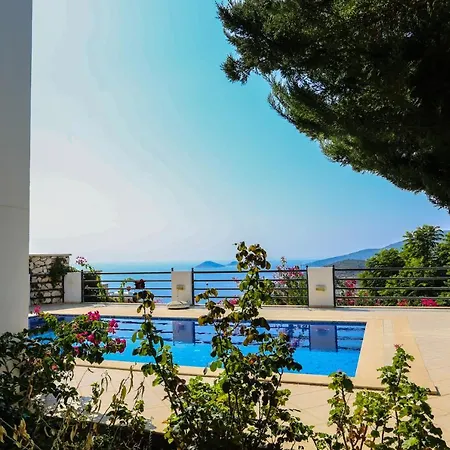 White * Kalkan